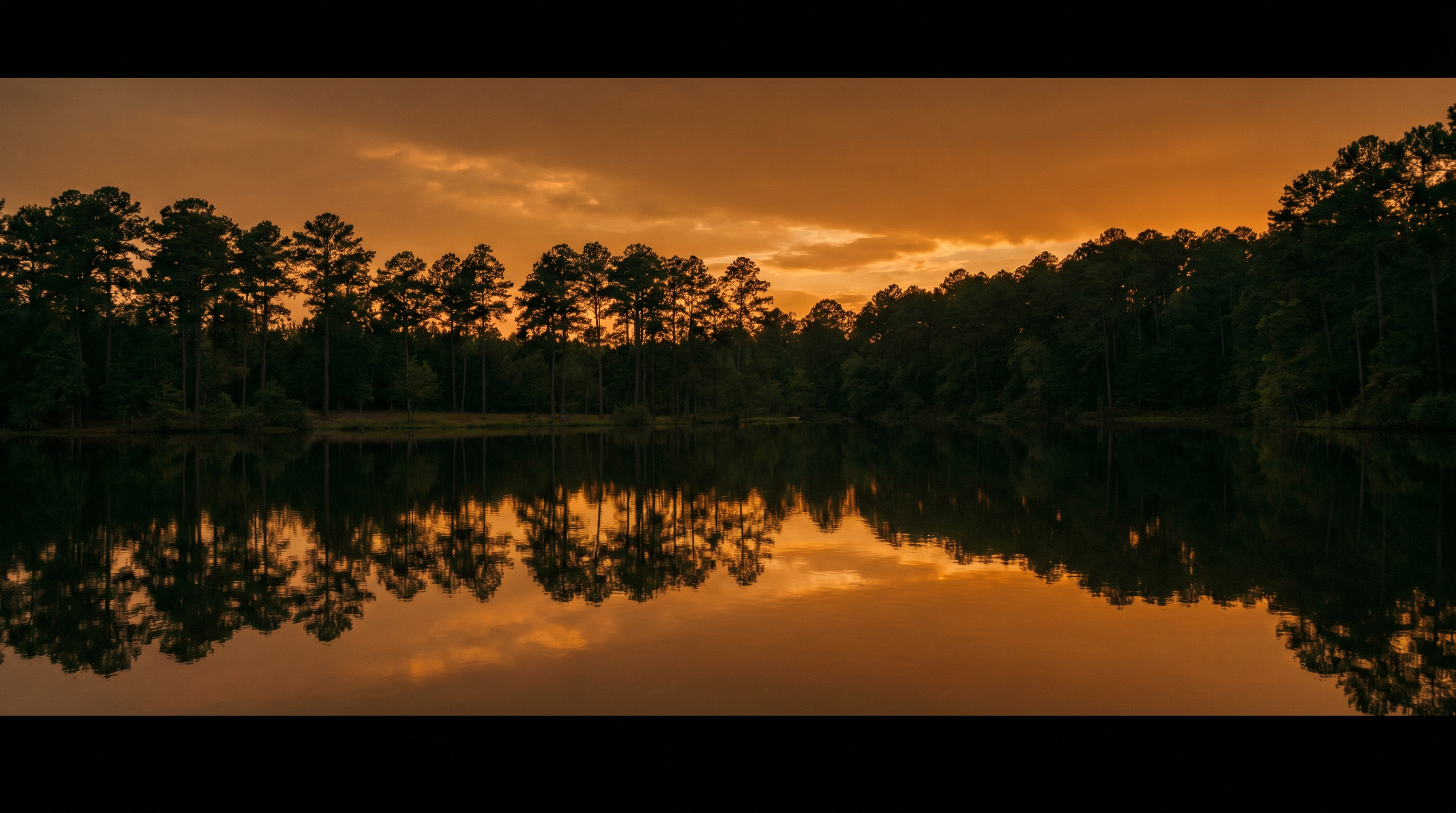 Toledo Bend at golden hour